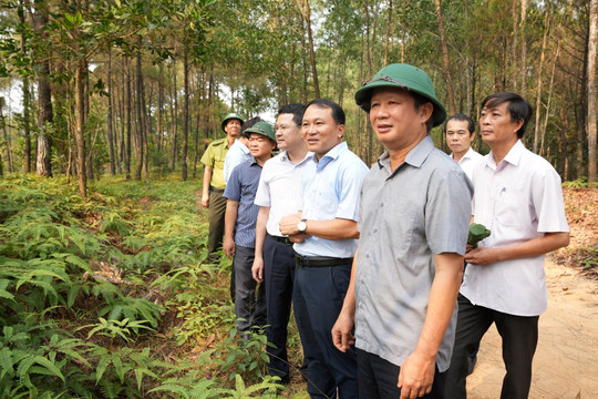 Thừa Thiên – Huế: Tăng cường phòng cháy chữa cháy rừng