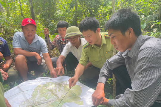 Mai Sơn (Sơn La): Quản lý, bảo vệ rừng gắn với tạo sinh kế bền vững