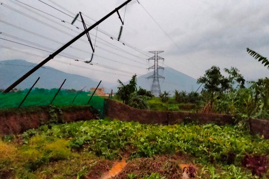 EVNNPC khắc phục sự cố lưới điện do mưa lớn và lốc xoáy