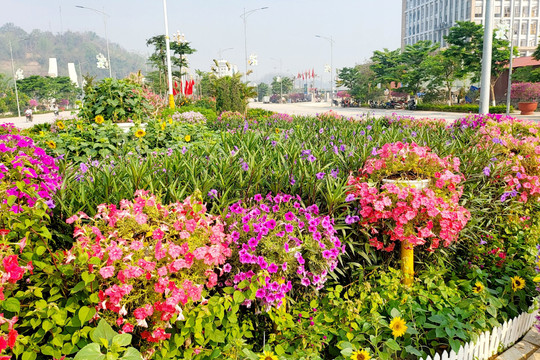 Những con đường hoa chào mừng Kỷ niệm 70 năm Chiến thắng Điện Biên Phủ