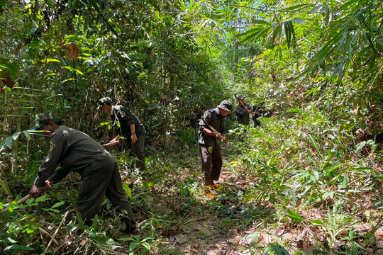 Ninh Tây - Khánh Hòa: Hiệu quả từ việc giao khoán bảo vệ rừng