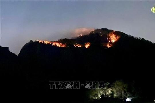 An Giang: Quyết tâm dập tắt các điểm cháy trên núi Cô Tô trong ngày 28/4