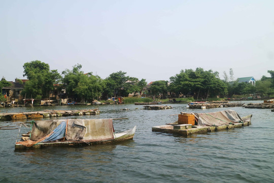 Thừa Thiên - Huế: Nguy cơ ảnh hưởng nguồn nước từ việc nuôi cá lồng