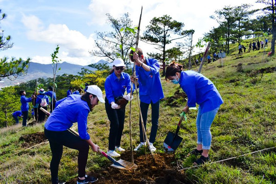 Bộ Công an yêu cầu Lâm Đồng cung cấp tài liệu các dự án cây xanh