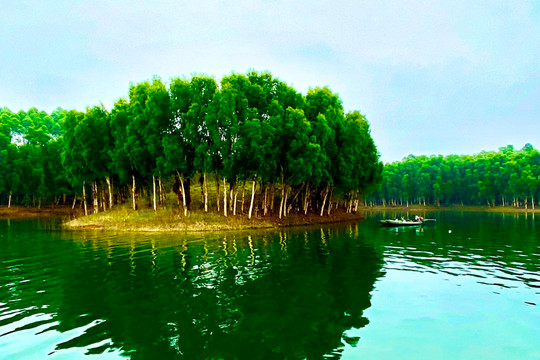 Yên Bái: Phủ xanh đất bán ngập trên hồ Thác Bà tạo cảnh quan phát triển du lịch