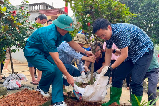 Yên Bình (Yên Bái): Các địa phương tích cực trồng cây, dọn dẹp vệ sinh môi trường