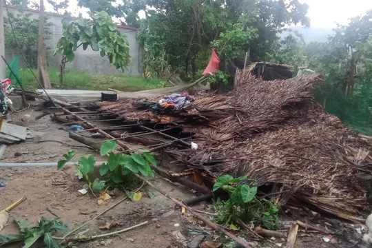 Yên Bái: 93 ngôi nhà bị hư hỏng, thiệt hại gần 150ha hoa màu