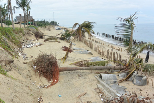 Quảng Nam: Phục hồi và bảo vệ bờ biển Cửa Đại