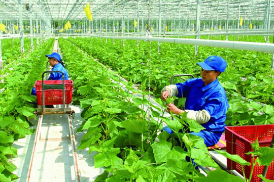 Thanh Hóa: Xây dựng nông thôn mới gắn với phát triển nông nghiệp xanh