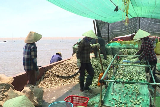 Tiền Hải (Thái Bình): Phát triển kinh tế biển giúp người dân vươn lên thoát nghèo