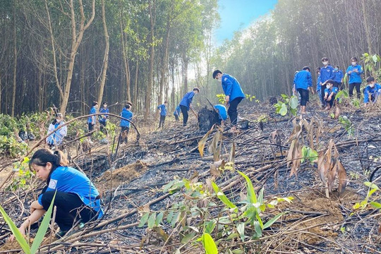 Tuổi trẻ Bắc Giang: Hiệu quả từ Chương trình “Rừng cây thanh niên lập nghiệp” trao cơ hội thoát nghèo