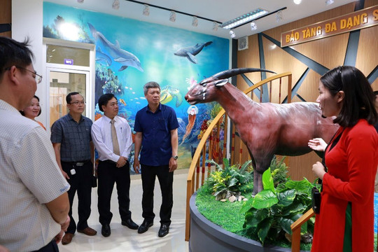 Quảng Nam: Có bảo tàng đa dạng sinh học cấp tỉnh đầu tiên của cả nước