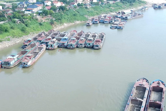 Hà Nội: Yêu cầu dừng khai thác cát tại địa bàn giáp ranh với tỉnh Phú Thọ