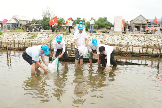 Thả hơn 250.000 con tôm, cua xuống đầm phá Tam Giang – Cầu Hai