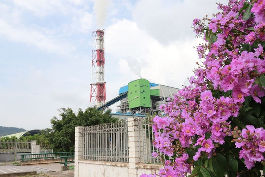 Công tác bảo vệ môi trường tại Nhà máy Nhiệt điện Nghi Sơn 1