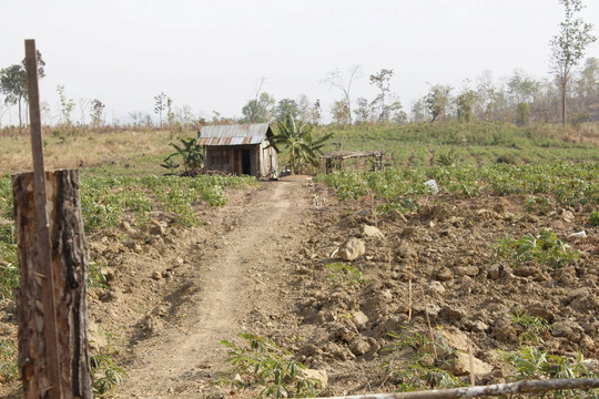 Đắk Lắk quản lý hiệu quả đất đai: Phục vụ phát triển kinh tế - xã hội