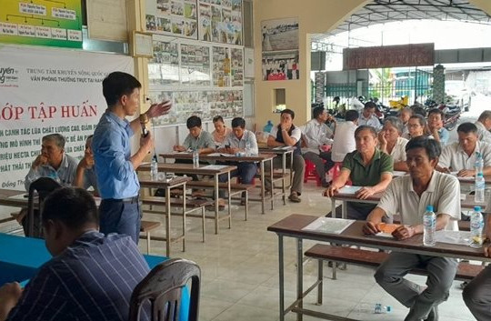 Canh tác lúa giảm phát thải, tăng thu nhập