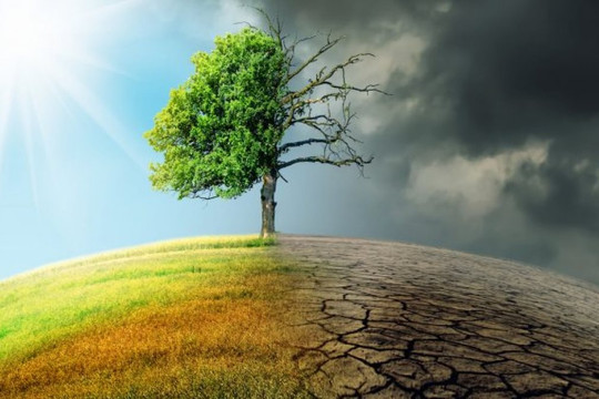 Thích ứng với biến đổi khí hậu: Hướng tới tương lai bền vững