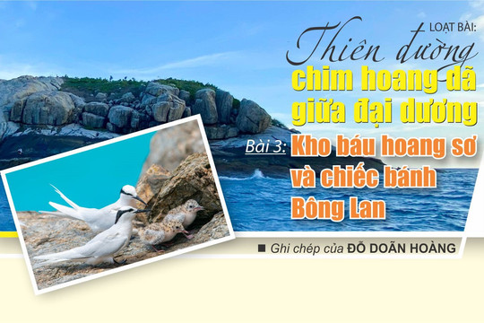 Thiên đường chim hoang dã giữa đại dương - Bài 3: Kho báu hoang sơ và chiếc bánh Bông Lan