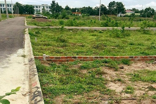 Chuyển mục đích sử dụng đất để thực hiện Dự án Cụm công nghiệp Đông Quang