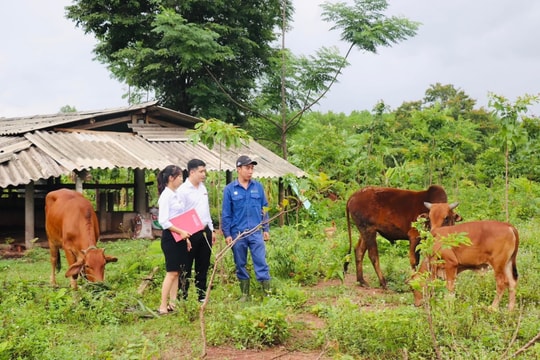 Agribank Quảng Trị đồng hành cùng địa phương xây dựng nông thôn mới