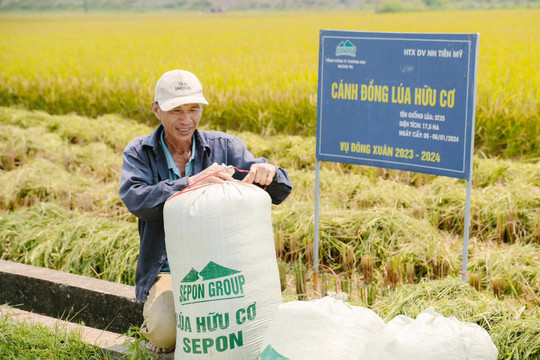 Quảng Trị: Xây dựng nông thôn mới gắn với giảm nghèo bền vững