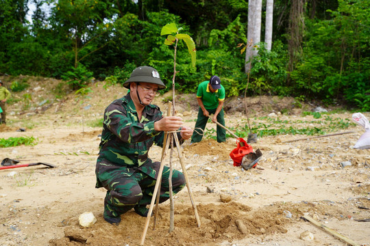 Vườn Quốc gia Côn Đảo trồng cây hưởng ứng Ngày Môi trường Thế giới