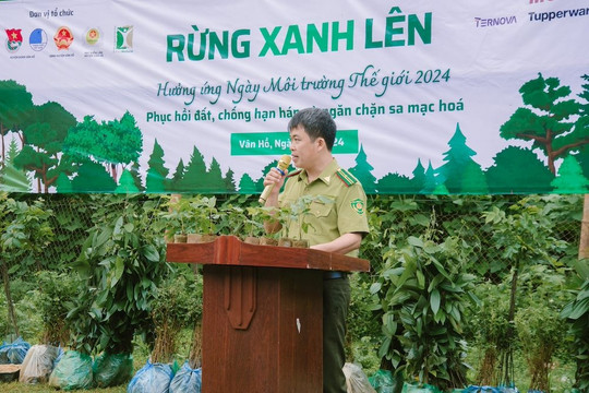 Rừng Xanh Lên 2024: Trồng phục hồi 25 ha rừng ở Hoà Bình và Sơn La