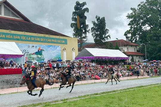 Lào Cai: Hấp dẫn chung kết Giải đua ngựa truyền thống Bắc Hà