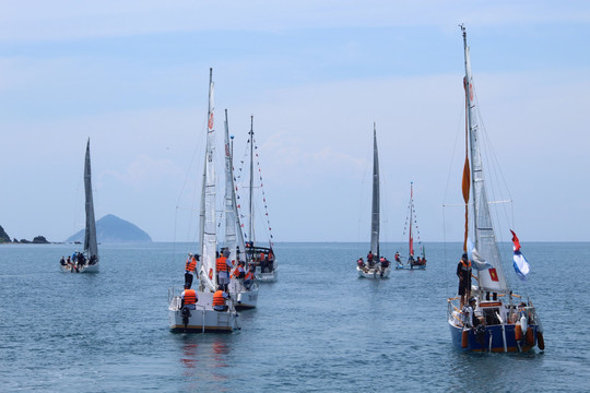 Khánh Hòa: Hơn 146 vận động viên dự tranh giải đua thuyền buồm vô địch các CLB toàn quốc