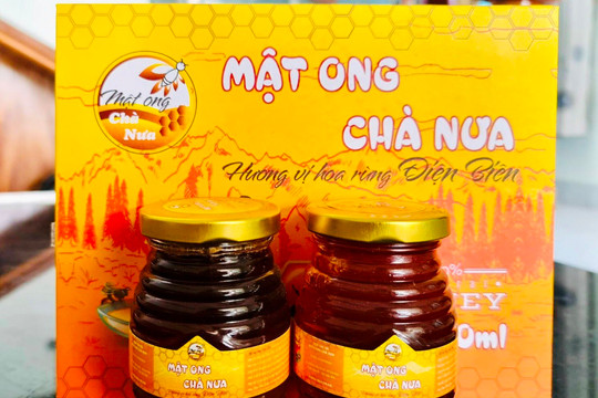 Chà Nưa (Điện Biên): Nâng cao chất lượng mật ong