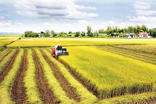 Gia tăng hiệu quả sử dụng đất nông nghiệp: Hướng tới nền nông nghiệp hiện đại