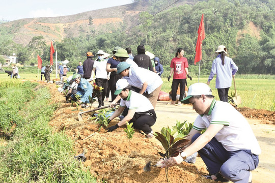 Tuyên Quang: Chung tay bảo vệ môi trường đất