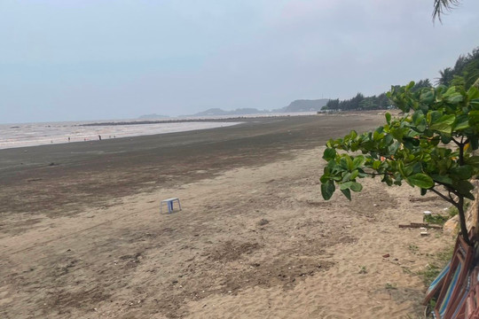 Hải Phòng: Giám sát bảo vệ môi trường tại quận Đồ Sơn