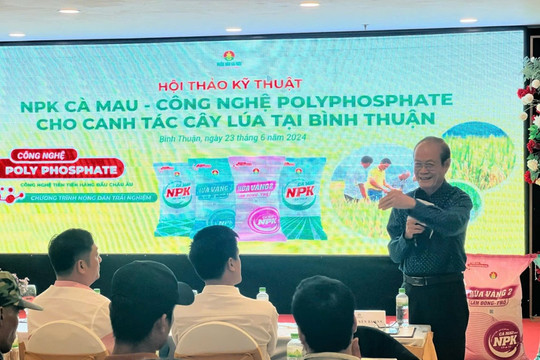 PVCFC tổ chức Hội thảo “NPK Cà Mau - Công nghệ Polyphosphate cho canh tác cây lúa tại Bình Thuận”