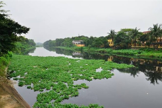 Hà Nam: Nước sông Nhuệ - Đáy bị ô nhiễm báo động cấp độ 2