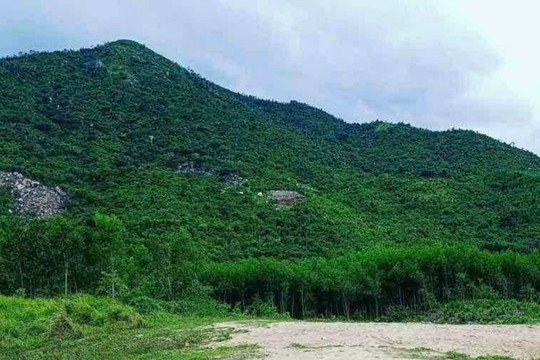 Khánh Hòa: Hiệu quả từ việc giao khoán bảo vệ rừng