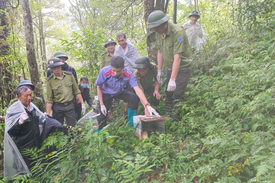 Vườn quốc gia Hoàng Liên (Lào Cai): Tái thả 28 cá thể động vật hoang dã về với tự nhiên