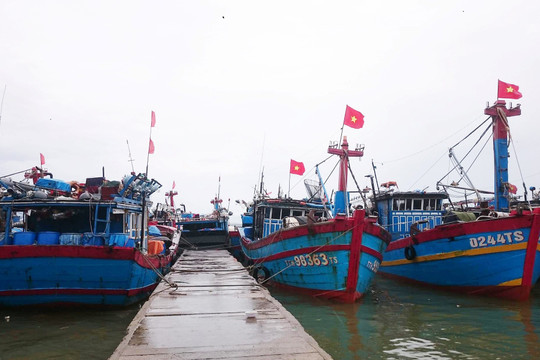 Thừa Thiên – Huế: Cấm tàu thuyền ra khơi từ chiều ngày 14/7
