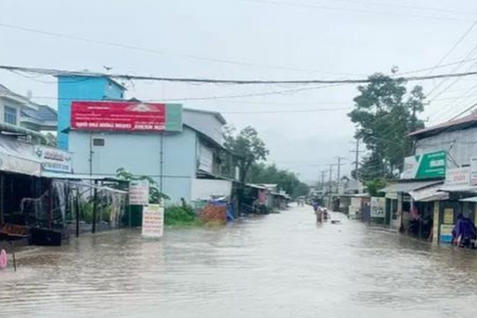 Dự báo thời tiết ngày 15/7: Đề phòng mưa rất to trên phạm vi hẹp