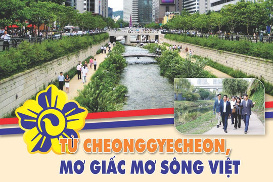E-magazine: Từ Cheonggyecheon, mơ giấc mơ sông Việt
