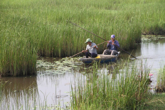 Quảng Nam: Hướng đến thành lập khu bảo tồn đất ngập nước quý hiếm sông Đầm