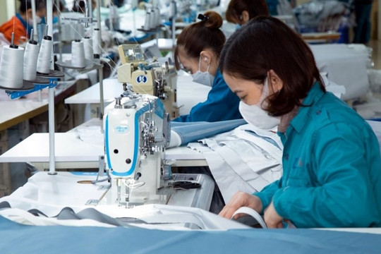 Doanh nghiệp dệt may Việt Nam phát triển sản phẩm thân thiện với môi trường