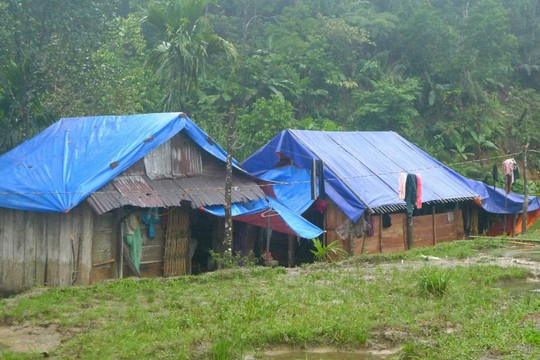 Bí thư Tỉnh ủy Quảng Nam gửi tâm thư kêu gọi hỗ trợ xóa hơn 10.000 ngôi nhà tạm, dột nát