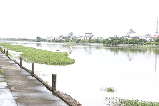 Hà Nam: Dự báo lũ trên sông Đáy sẽ lên trên báo động III