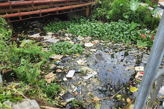 Nam Định: Tuyến kênh ngập rác gây ô nhiễm môi trường
