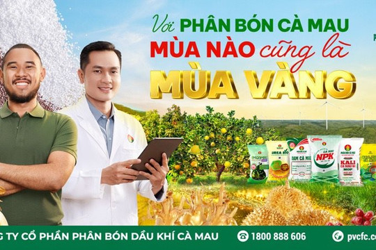 Phân bón Cà Mau: Mùa nào cũng là mùa vàng