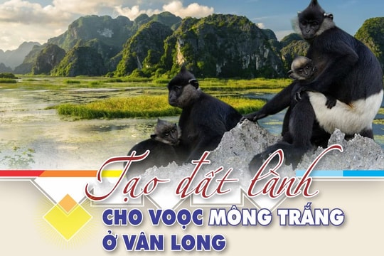 E-magazine: Tạo đất lành cho voọc mông trắng ở Vân Long