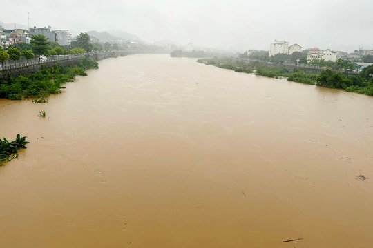 Thượng nguồn sông Hồng tại Lào Cai: Xuất hiện lũ, cần sơ tán người và tài sản về nơi an toàn