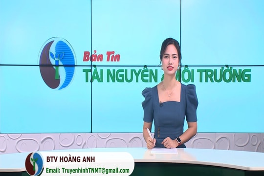 Bản tin Truyền hình TN&MT số 31/2024 (số 366)